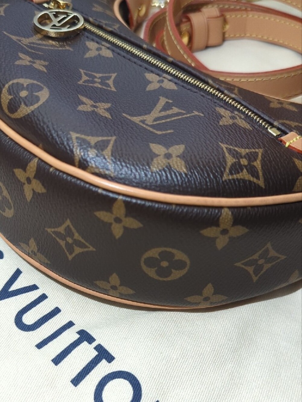 Louis Vuitton Monogram Loop - Picture 10 of 11